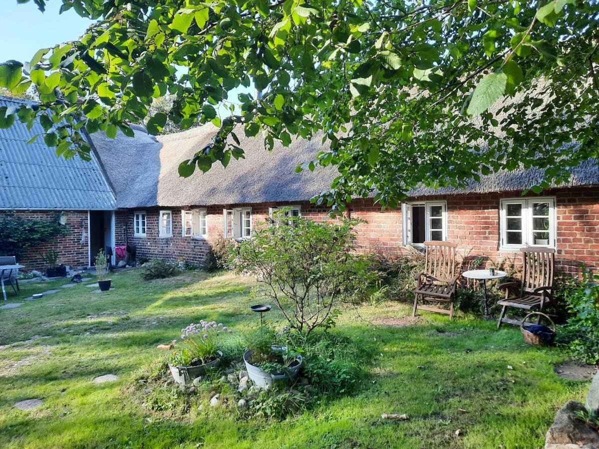 Ringkobing Fjord B&B Skjern Exterior photo